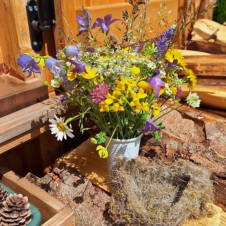 Daire Haus Ackerer Leogang