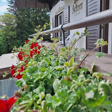 Haus Ackerer Leogang