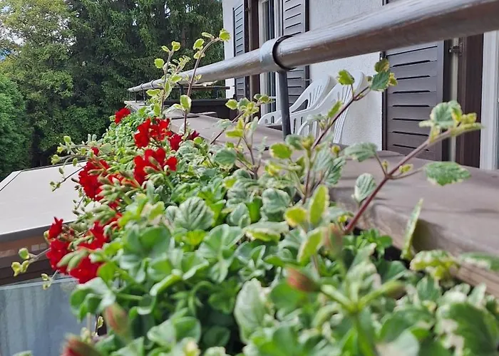 Haus Ackerer Леоганг